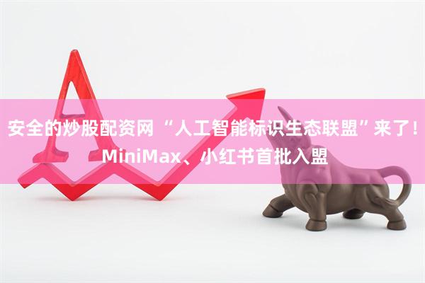 安全的炒股配资网 “人工智能标识生态联盟”来了！ MiniMax、小红书首批入盟