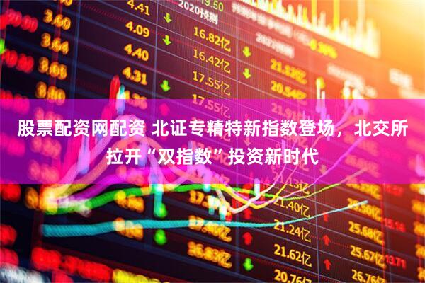 股票配资网配资 北证专精特新指数登场，北交所拉开“双指数”投资新时代