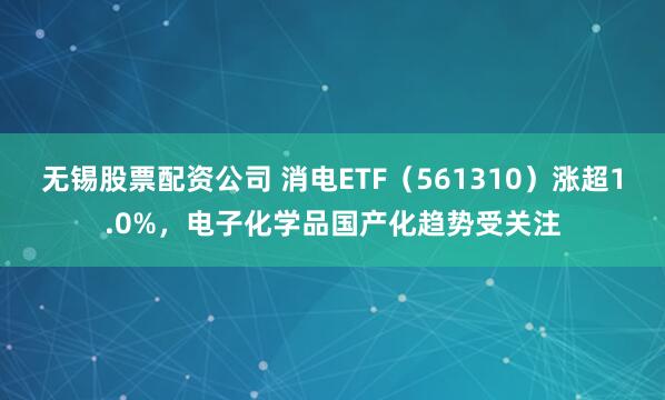 无锡股票配资公司 消电ETF（561310）涨超1.0%，电子化学品国产化趋势受关注